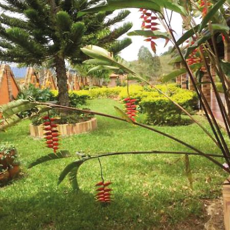 Hotel Cristo Rey Campestre Los Santos  Zewnętrze zdjęcie