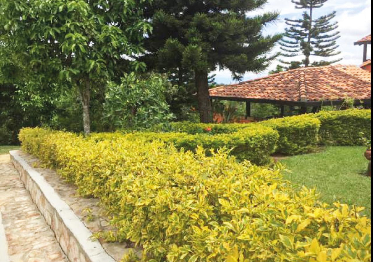 Hotel Cristo Rey Campestre Los Santos  Zewnętrze zdjęcie